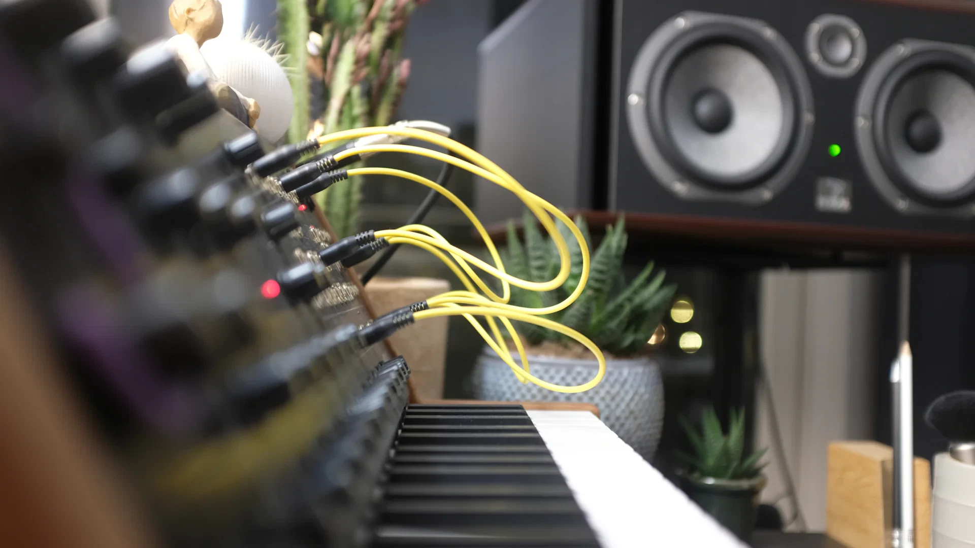 Studio shot 4