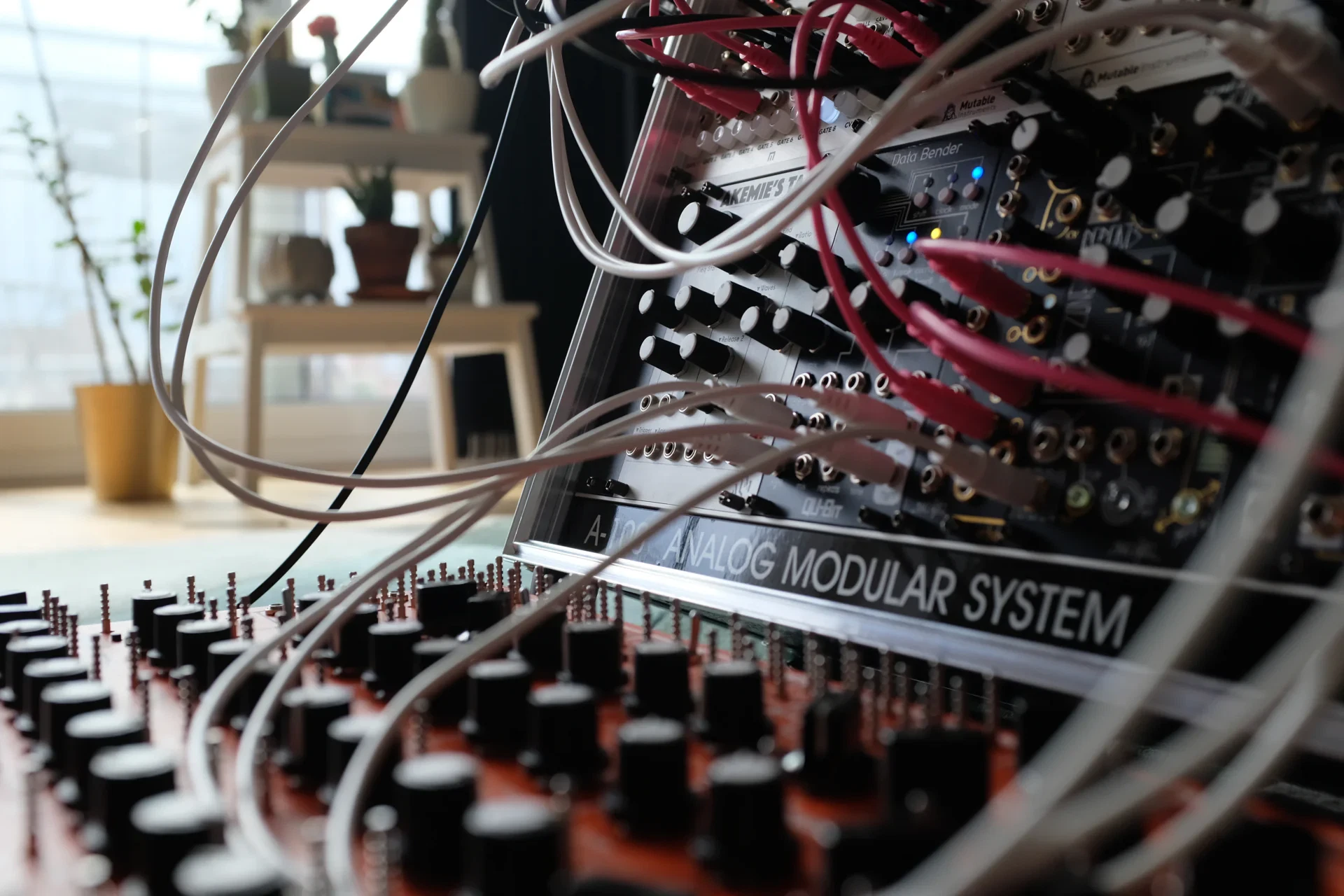 Studio shot 5